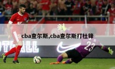 cba查尔斯,cba查尔斯打杜锋