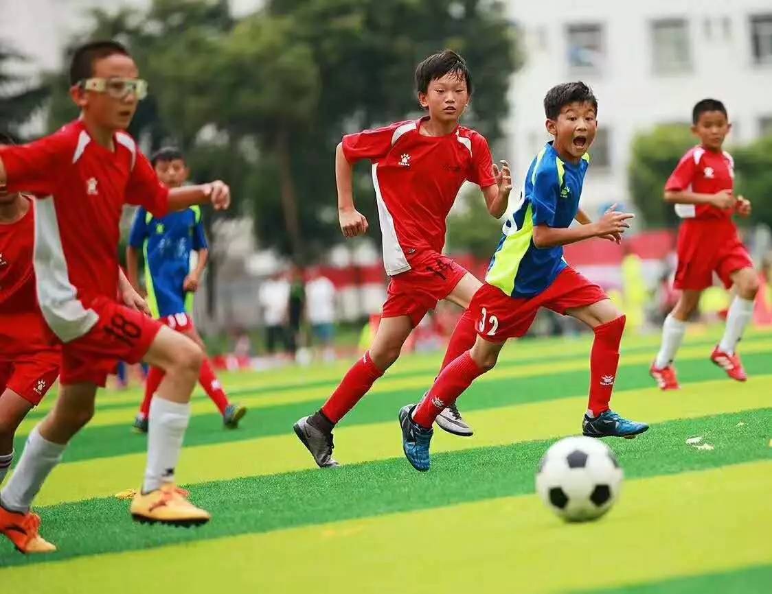 成都大运会丨“比赛虽然激烈，但成都让我很放松”——下届夏季大运会东道主运动员乐享成都_河北新闻网手机版