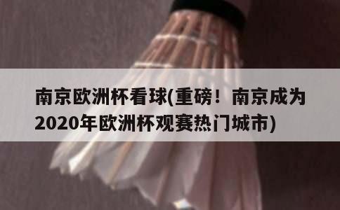 南京欧洲杯看球(重磅！南京成为2020年欧洲杯观赛热门城市)