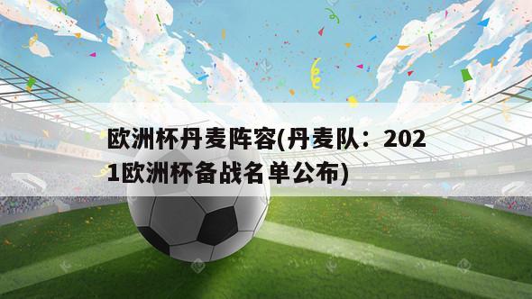 欧洲杯丹麦阵容(丹麦队：2021欧洲杯备战名单公布)