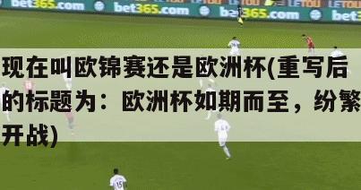 现在叫欧锦赛还是欧洲杯(重写后的标题为：欧洲杯如期而至，纷繁开战)