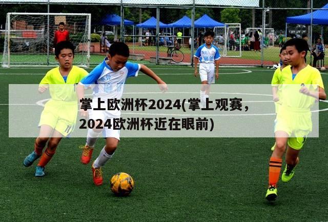 掌上欧洲杯2024(掌上观赛，2024欧洲杯近在眼前)