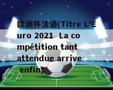 欧洲杯法语(Titre L'Euro 2021  La compétition tant attendue arrive enfin)