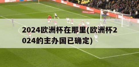 2024欧洲杯在那里(欧洲杯2024的主办国已确定)