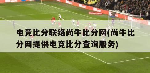 电竞比分联络尚牛比分网(尚牛比分网提供电竞比分查询服务)