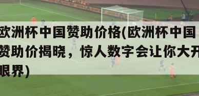 欧洲杯中国赞助价格(欧洲杯中国赞助价揭晓，惊人数字会让你大开眼界)