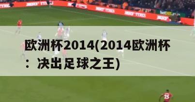 欧洲杯2014(2014欧洲杯：决出足球之王)