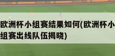 欧洲杯小组赛结果如何(欧洲杯小组赛出线队伍揭晓)