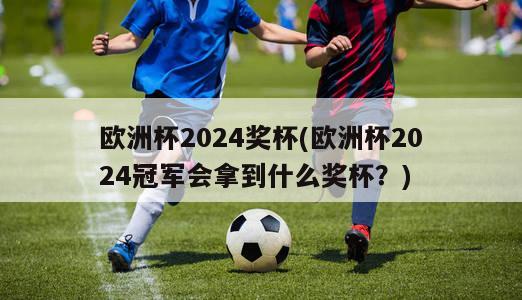 欧洲杯2024奖杯(欧洲杯2024冠军会拿到什么奖杯？)