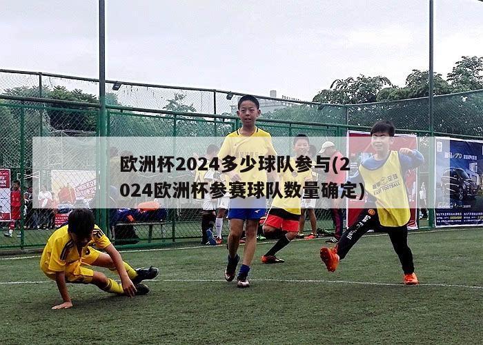 欧洲杯2024多少球队参与(2024欧洲杯参赛球队数量确定)